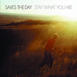 Saves The Day Stay What You Are VINYL LP