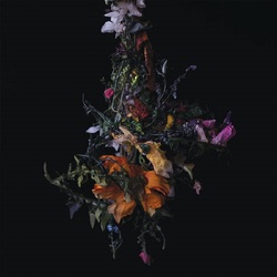 BIG BRAVE nature morte VINYL LP