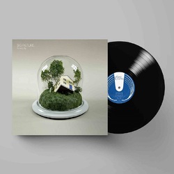 Fenne Lily Big Picture VINYL LP
