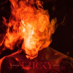 Tricky Adrian Thaws (Orange Coloured Vinyl) VINYL LP