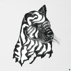 Alpha Steppa & Awa Fall What A Joy VINYL LP