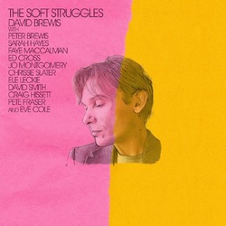 David Brewis The Soft Struggles VINYL LP