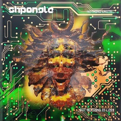 Shpongle Nothing Lasts?But Nothing Is L VINYL LP