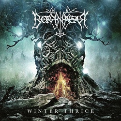 Borknagar Winter Thrice VINYL LP