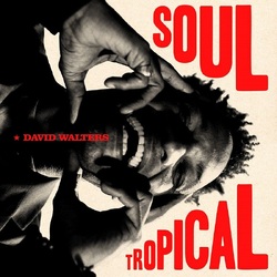 David Walters Soul Tropical VINYL LP