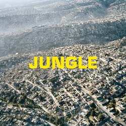 The Blaze JUNGLE VINYL LP