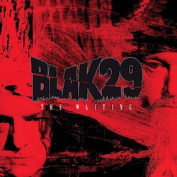 Blak29 The Waiting VINYL LP