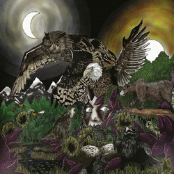 Avatar Feathers & Flesh VINYL LP