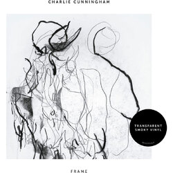 Charlie Cunningham Frame VINYL LP