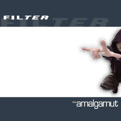 Filter The Amalgamut VINYL LP