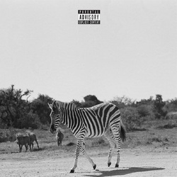Louis Vi Earthling VINYL LP
