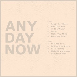 Krezip Any Day Now (1LP Coloured) VINYL LP