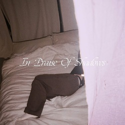 Puma Blue In Praise Of Shadows VINYL LP