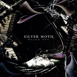 Silver Moth Black Bay VINYL LP