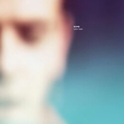 Lewis Taylor Numb VINYL LP