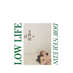 Low Life Downer Edn LP