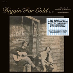 Various Artists Diggin' For Gold Vol. 13 VINYL LP