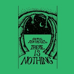 Ozric Tentacles There Is Nothing VINYL LP
