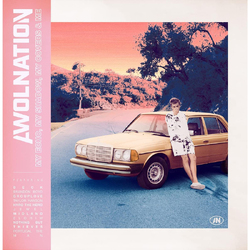 AWOLNATION My Echo My Shadow My Covers and Me VINYL LP