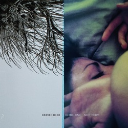 Cubicolor Sometime Not Now VINYL 2LP