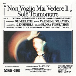 Caroline Polachek Non Voglio Mai Vedere VINYL 7inch