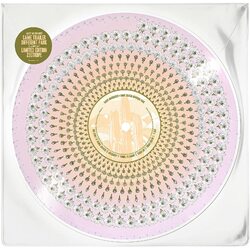 Kacey Musgraves Same Trailer Different Park 10th Anniversary ltd ZOETROPE VINYL LP PICTURE DISC