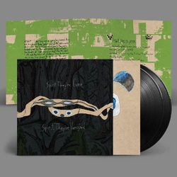 Animal Collective Spirit They're Gone Spirit They've Vanished 2023 remastered BLACK VINYL 2 LP