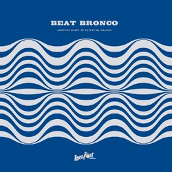 Beat Bronco Organ Trio Another Shape Of Essential Sounds VINYL LP