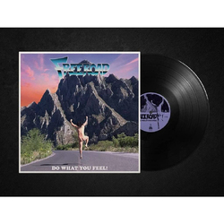 Freeroad Do What You Feel! VINYL LP