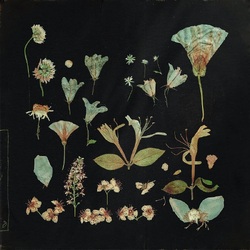 Leaving Laurel when the quiet comes VINYL LP