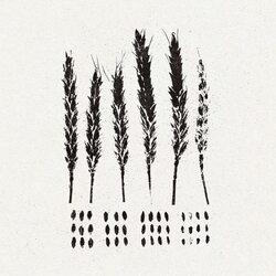 Lo! The Gleaners VINYL LP