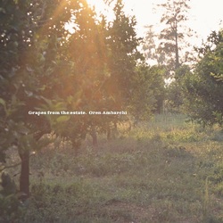 Oren Ambarchi Grapes From The Estate VINYL LP