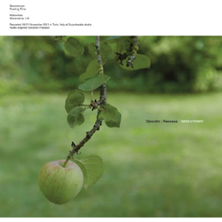 Ozmotic & Fennesz Senzatempo VINYL LP