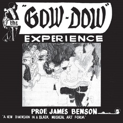 Prof. James Benson The Gow-Dow Experience VINYL LP