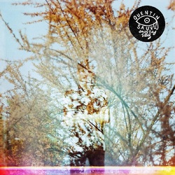 Quentin Sauvé Enjoy The View VINYL LP