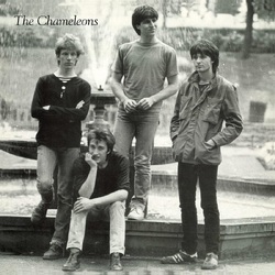 The Chameleons Tony Fletcher Walked On Water E.P. (Purple Vinyl) VINYL LP