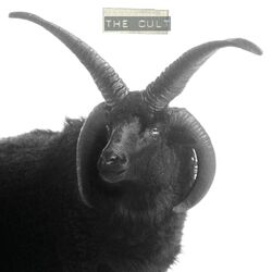 The Cult The Cult BLACK VINYL 2 LP Black Sheep