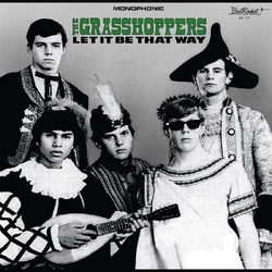 The Grasshoppers Let It Be That Way VINYL LP