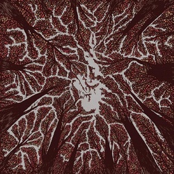 Trash Boat Crown Shyness VINYL LP