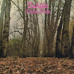 Twink Think Pink VINYL LP