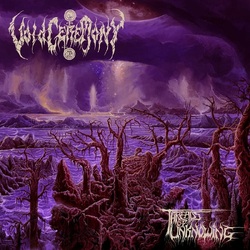 Voidceremony Threads Of Unknowing (Violet & Black Vinyl) VINYL LP