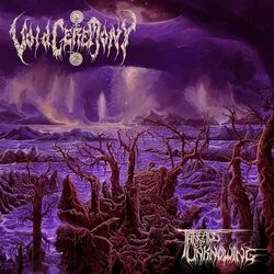 Voidceremony Threads Of Unknowing VINYL LP