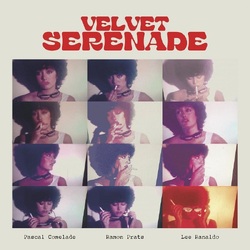 Various Artists Velvet Serenade VINYL LP