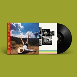 Geese 3D Country VINYL LP