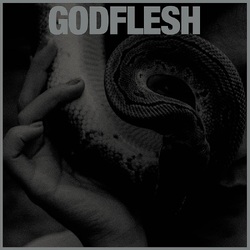 Godflesh Purge VINYL 2LP