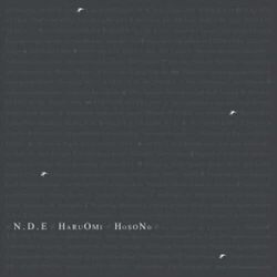 Haruomi Hosono N.D.E. VINYL 2LP
