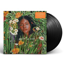 Joy Oladokun Proof Of Life VINYL 2 LP