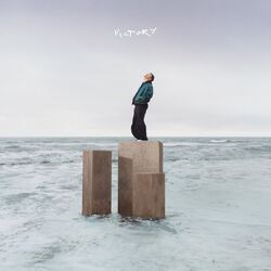 Cian Ducrot Victory VINYL LP