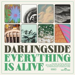 Darlingside Everything Is Alive VINYL LP
