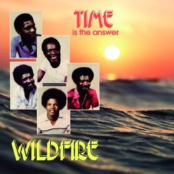 Wildfire Time Is The Answer (Lita Exclu VINYL LP
